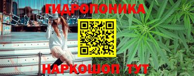 каннабис Коммунар